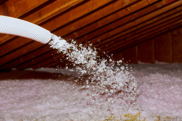 Best Insulation Inspection Services  in Mcdade, TX